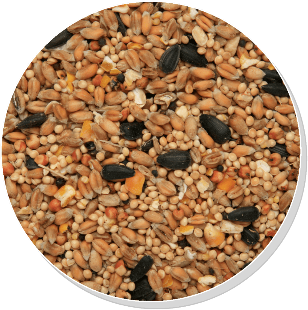 Garden Bird Food - Copdock Mill Seed & Grain Mix