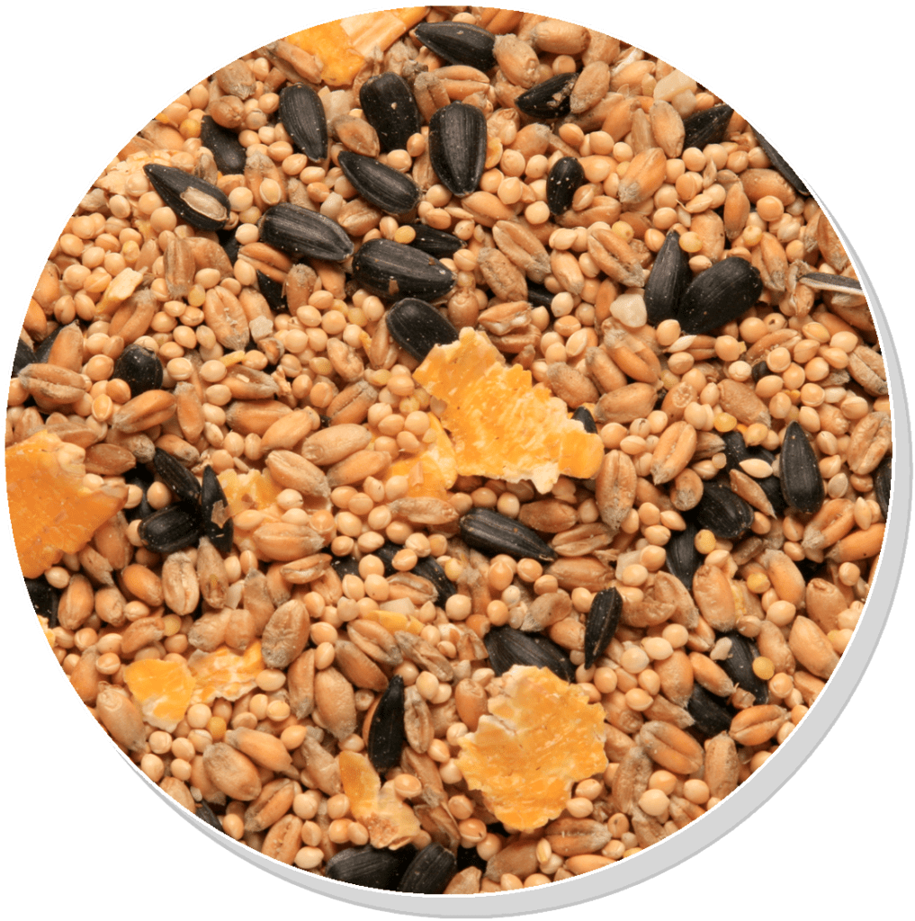 Copdock Mill Summer Mix - Garden Bird Seed