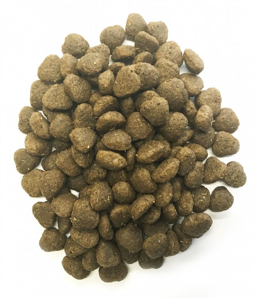 Bridagiers Choice - Large Puppy Food - Salmon & Potato