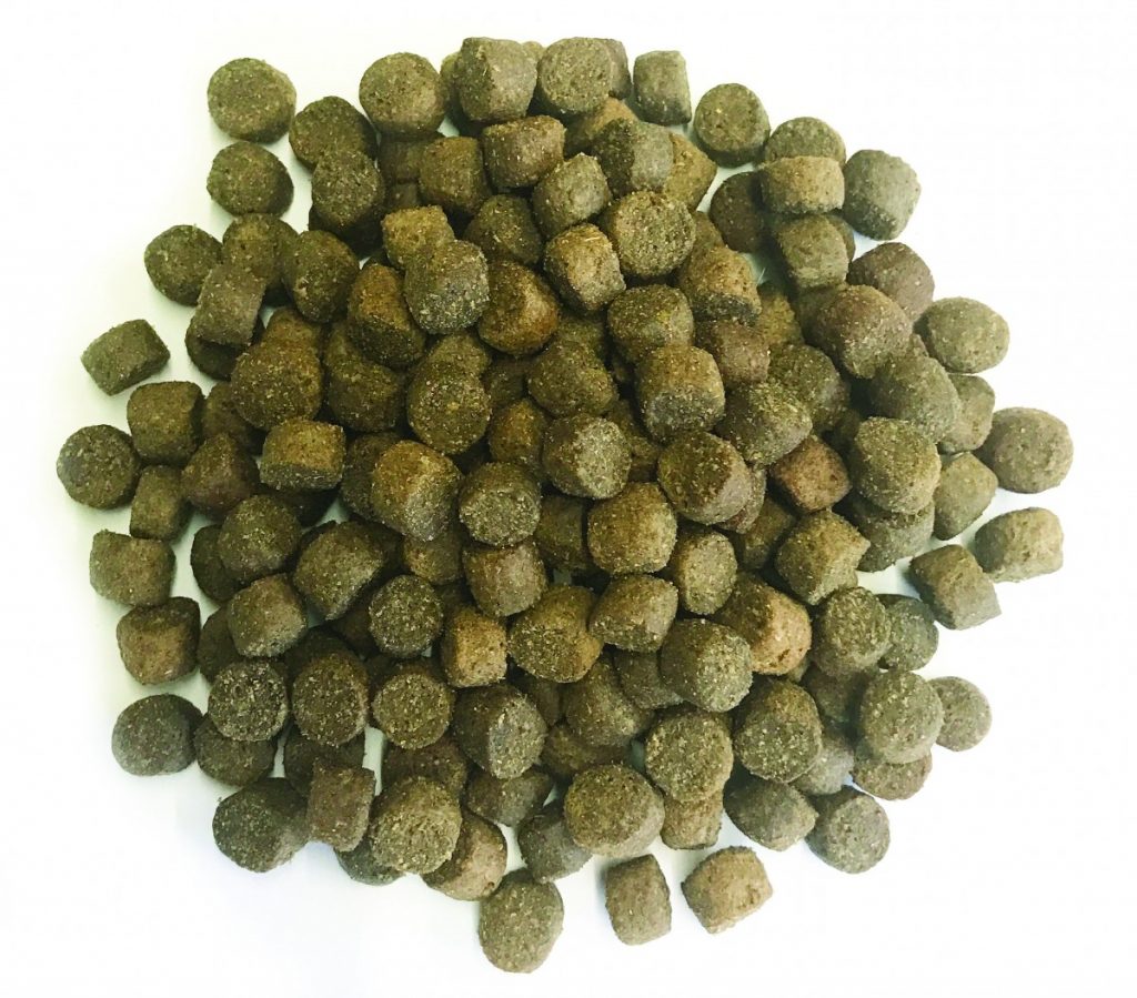 Brigadiers Choice Mini Bite Kibble - Salmon & Potato