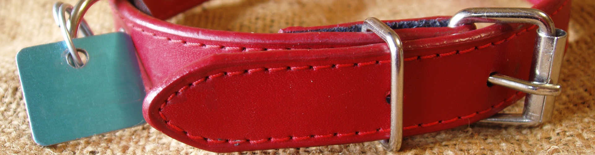 Dog collar and identity tag