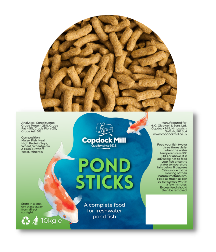 Can I Feed My Pond Fish Dog Food