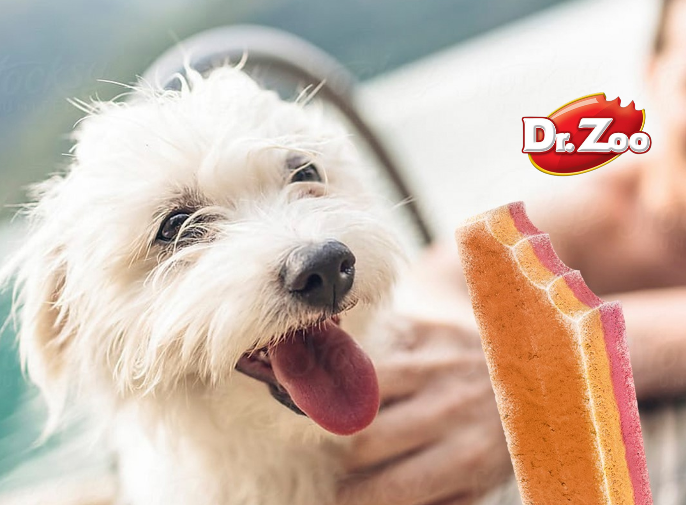 Dr. Zoo Products Now Available - Copdock Mill Wholesale