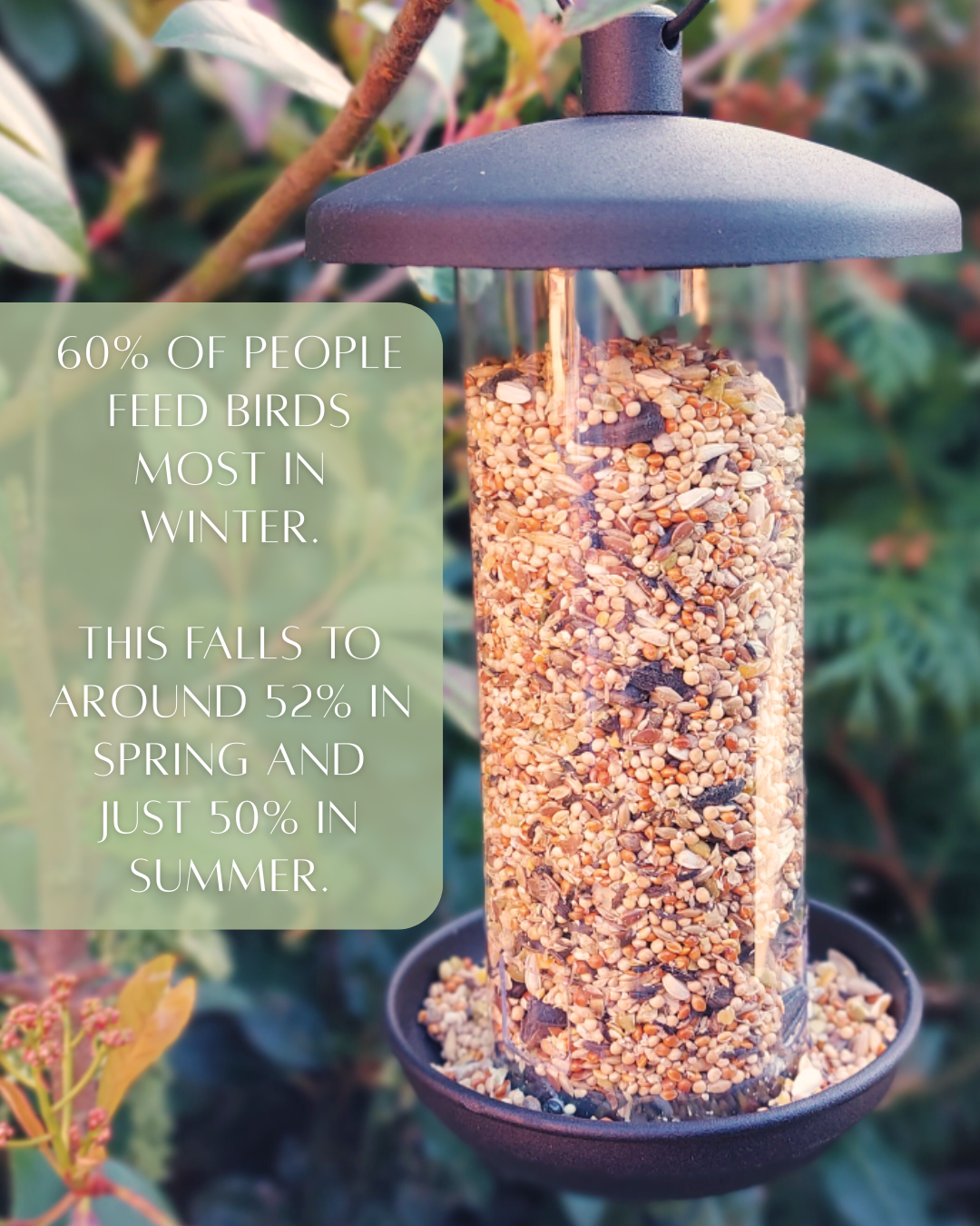 Wild Bird Feeding Guidance - Copdock Mill Wholesale